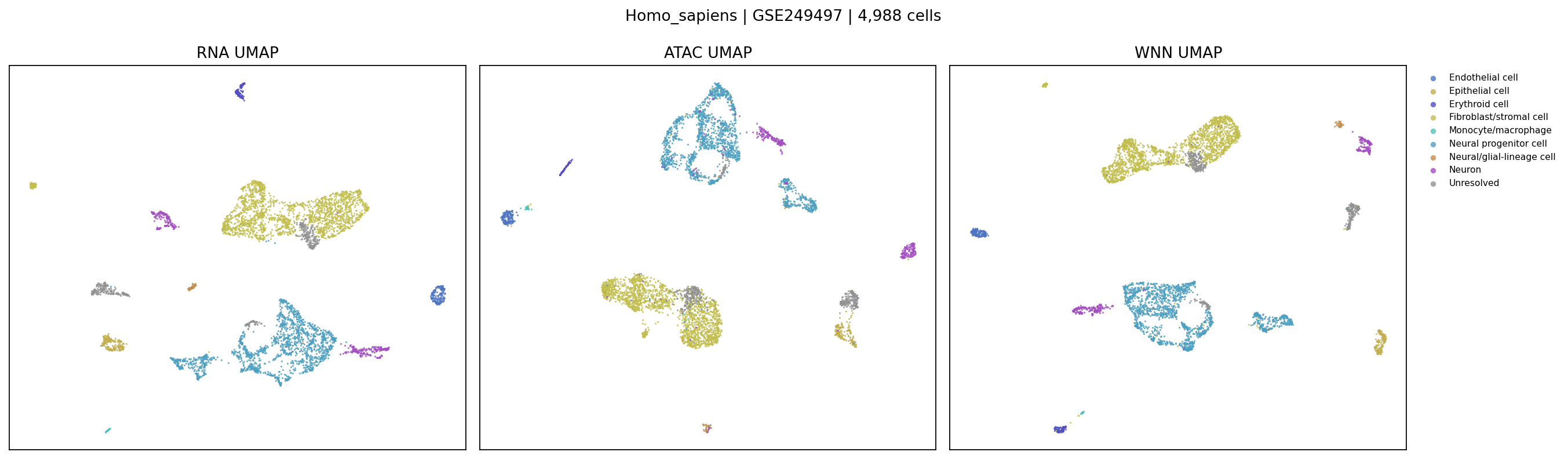 Human multiome UMAP example