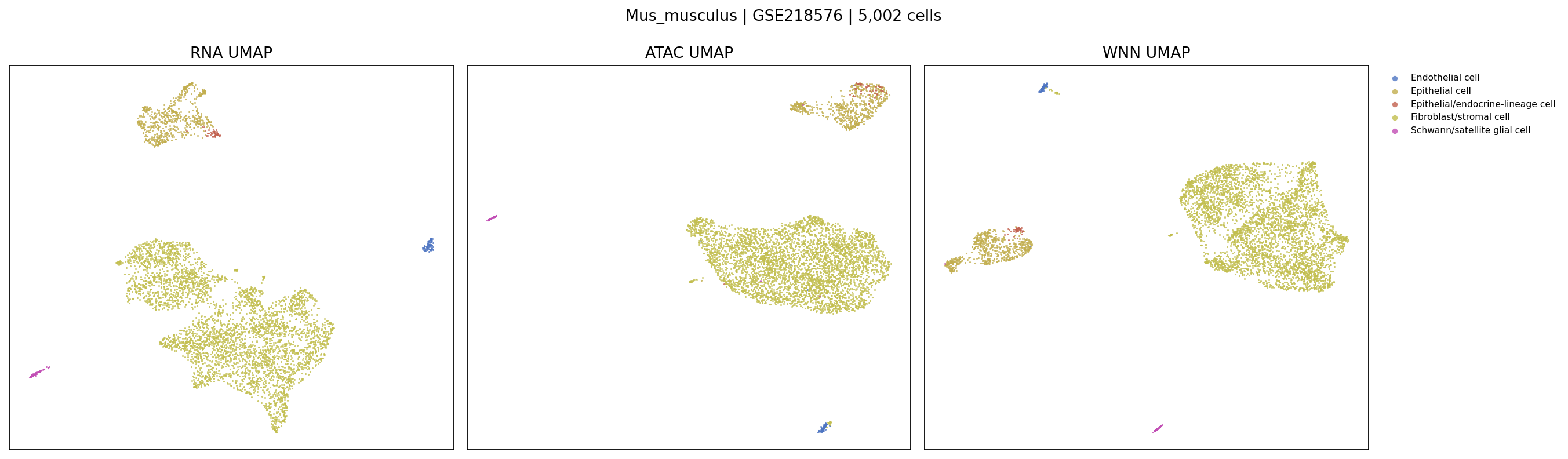 Mouse multiome UMAP example